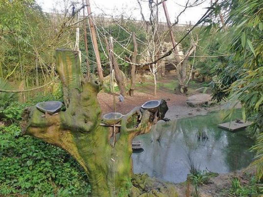 149 BIO PARC DE DOUE LA FONTAINE 1- 2016_000063.jpg